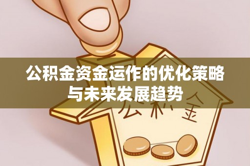 百色公积金资金运作的优化策略与未来发展趋势